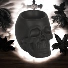 Cranie thumbnail