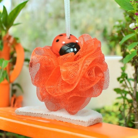 Ladybug (Dusjskrubb)