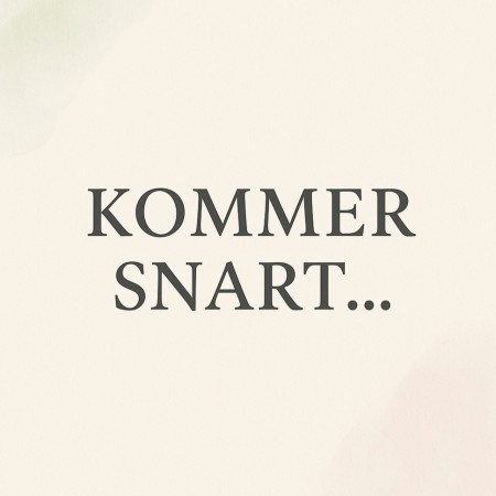 5-step Travel bundle