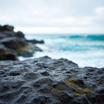 Ocean Breeze