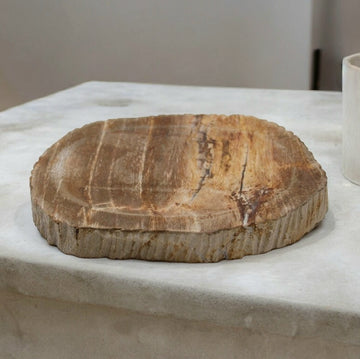 Forsteinet tre